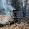 Grave incendio forestal entre Sagrajas y Novelda del Guadiana (BA)