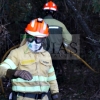 Un amplio dispositivo trabaja durante horas en un incendio forestal cercano a Badajoz