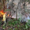 Un amplio dispositivo trabaja durante horas en un incendio forestal cercano a Badajoz