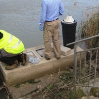 El Guadiana se enfrenta a otro problema: la invasión de larvas del mejillón