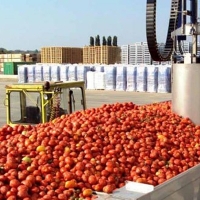 Controles para evitar que la campaña del tomate provoque accidentes en Extremadura