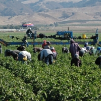Huelga en el campo: logran que la patronal agraria acepte un acuerdo sobre el convenio