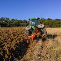 APAG acusa al ministro de querer acabar con los cultivos de girasol y colza