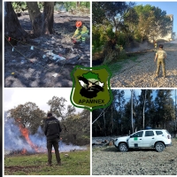 Los Agentes del Medio Natural extremeños se sienten despreciados y humillados un año más