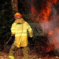 Grave incendio forestal entre Sagrajas y Novelda del Guadiana (BA)