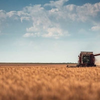 PAC: la Junta presume del buen ritmo en el pago a los agricultores extremeños