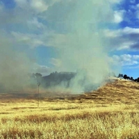 El Plan INFOEX interviene en la última semana en 6 incendios forestales