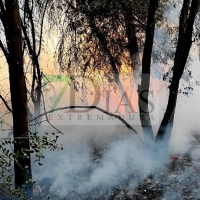 Un amplio dispositivo trabaja durante horas en un incendio forestal cercano a Badajoz