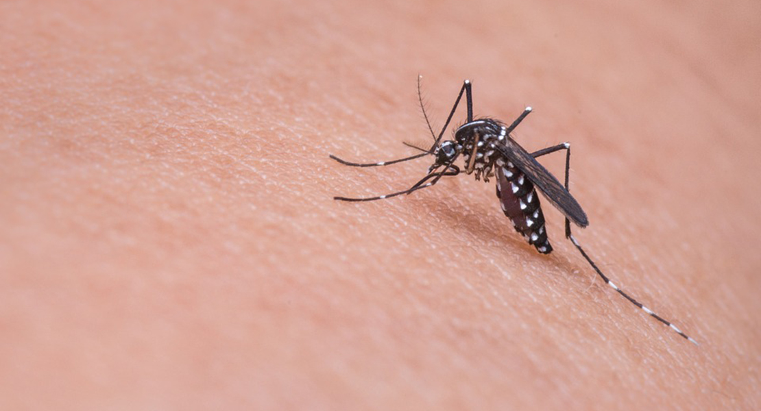 El color de la ropa es clave para atraer o espantar los mosquitos