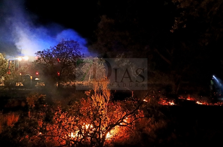 Incendio la pasada noche en el parque Tres Arroyos de Badajoz