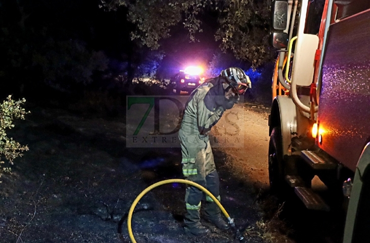 Incendio la pasada noche en el parque Tres Arroyos de Badajoz