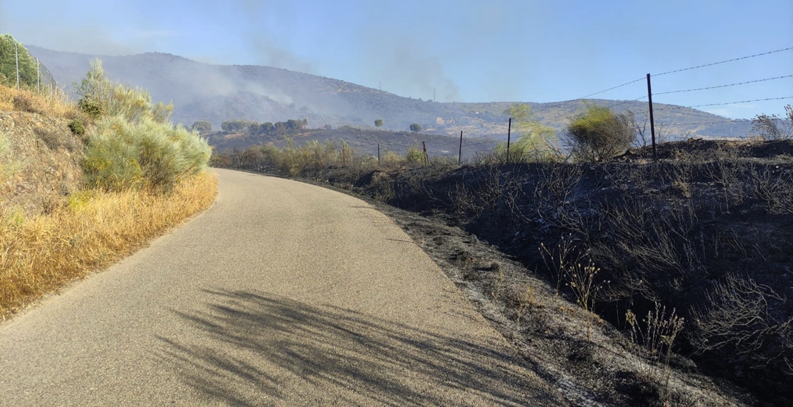 Imágenes del incendio Nivel 1 de Peligrosidad en Plasencia