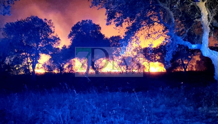 Incendio la pasada noche en el parque Tres Arroyos de Badajoz