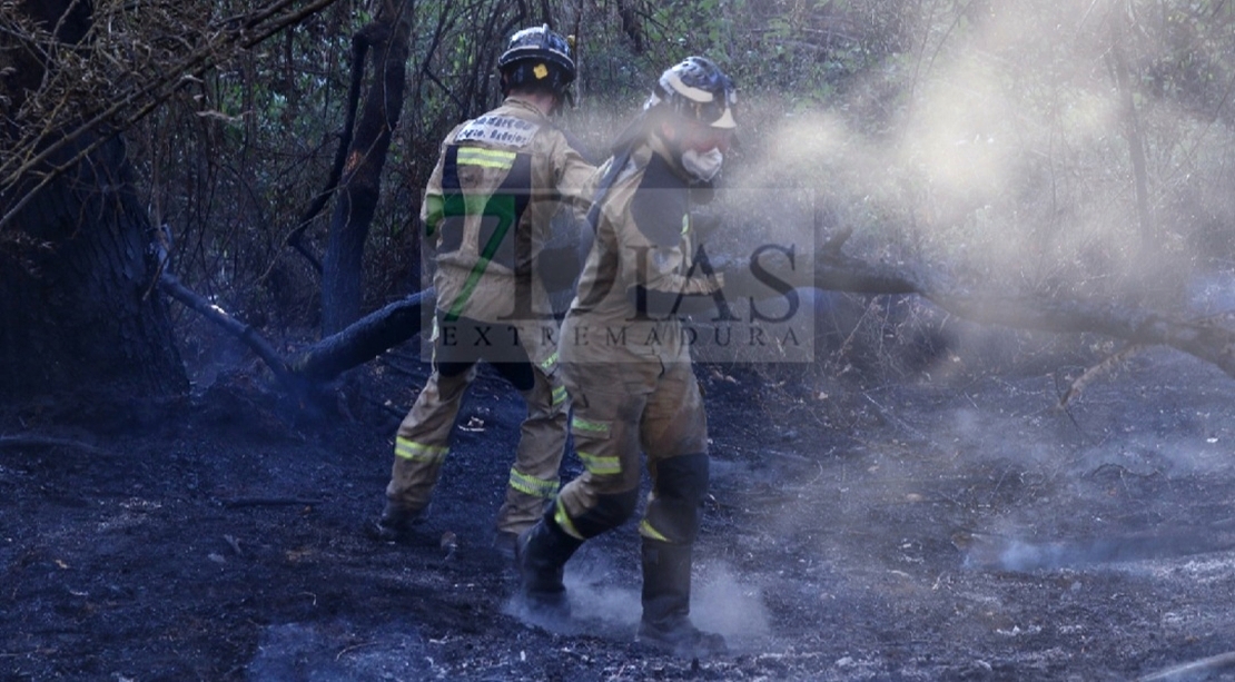 Un amplio dispositivo trabaja durante horas en un incendio forestal cercano a Badajoz