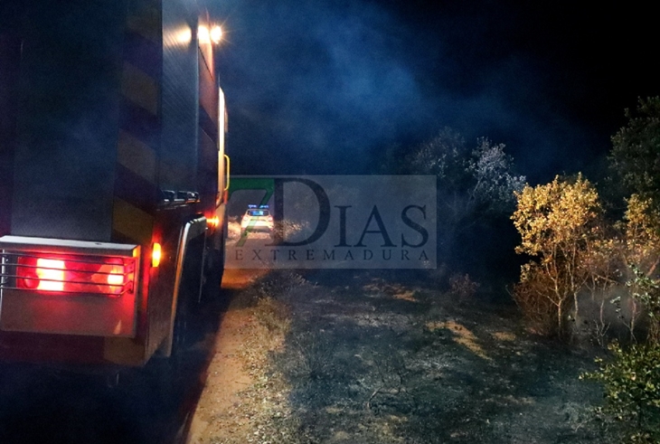 Incendio la pasada noche en el parque Tres Arroyos de Badajoz