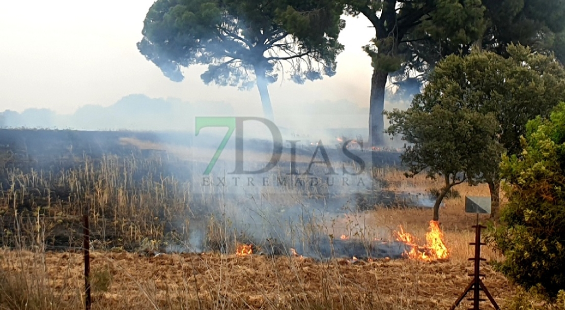 Un grave incendio forestal arrasa parte de la finca La Cocosa