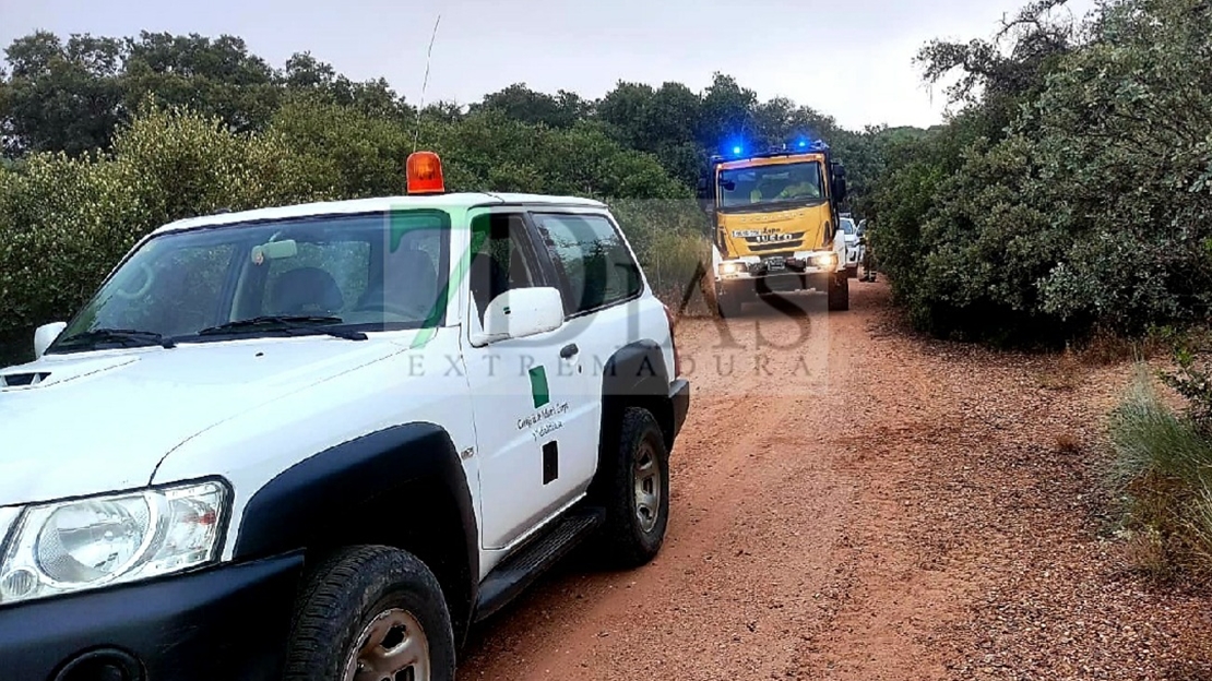 Un grave incendio forestal arrasa parte de la finca La Cocosa