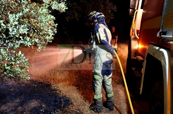 Incendio la pasada noche en el parque Tres Arroyos de Badajoz