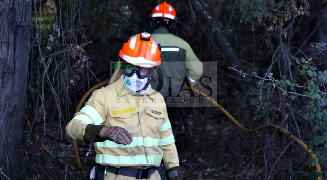 Un amplio dispositivo trabaja durante horas en un incendio forestal cercano a Badajoz