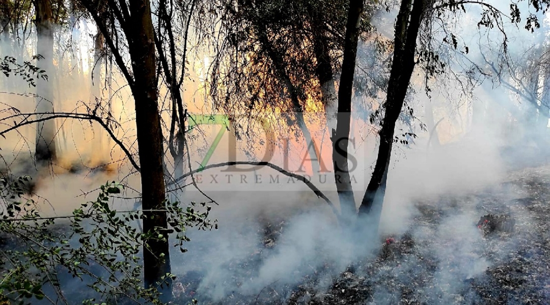 Un amplio dispositivo trabaja durante horas en un incendio forestal cercano a Badajoz