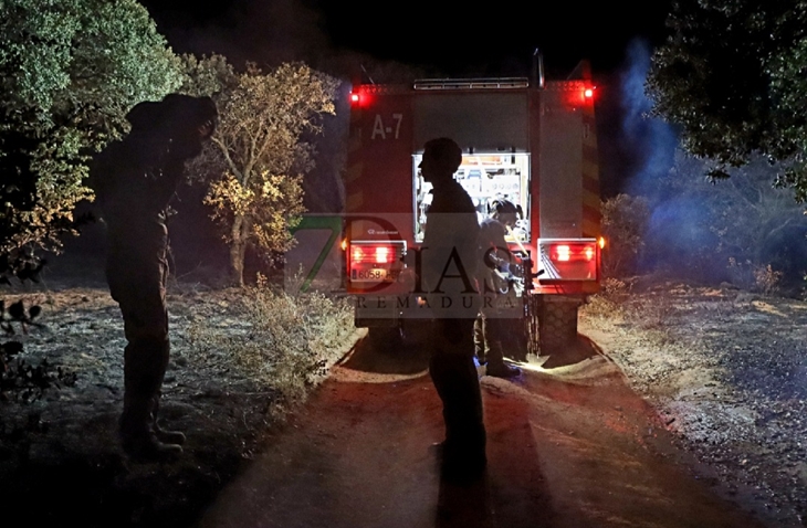 Incendio la pasada noche en el parque Tres Arroyos de Badajoz