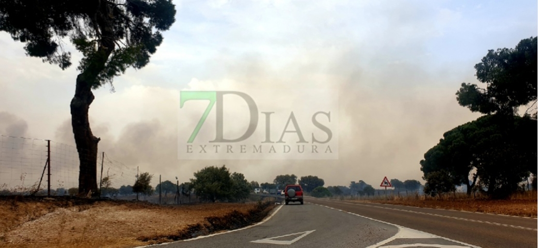 Un grave incendio forestal arrasa parte de la finca La Cocosa