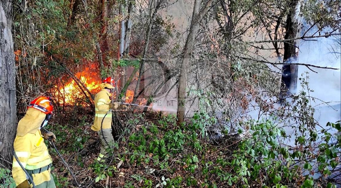 Un amplio dispositivo trabaja durante horas en un incendio forestal cercano a Badajoz