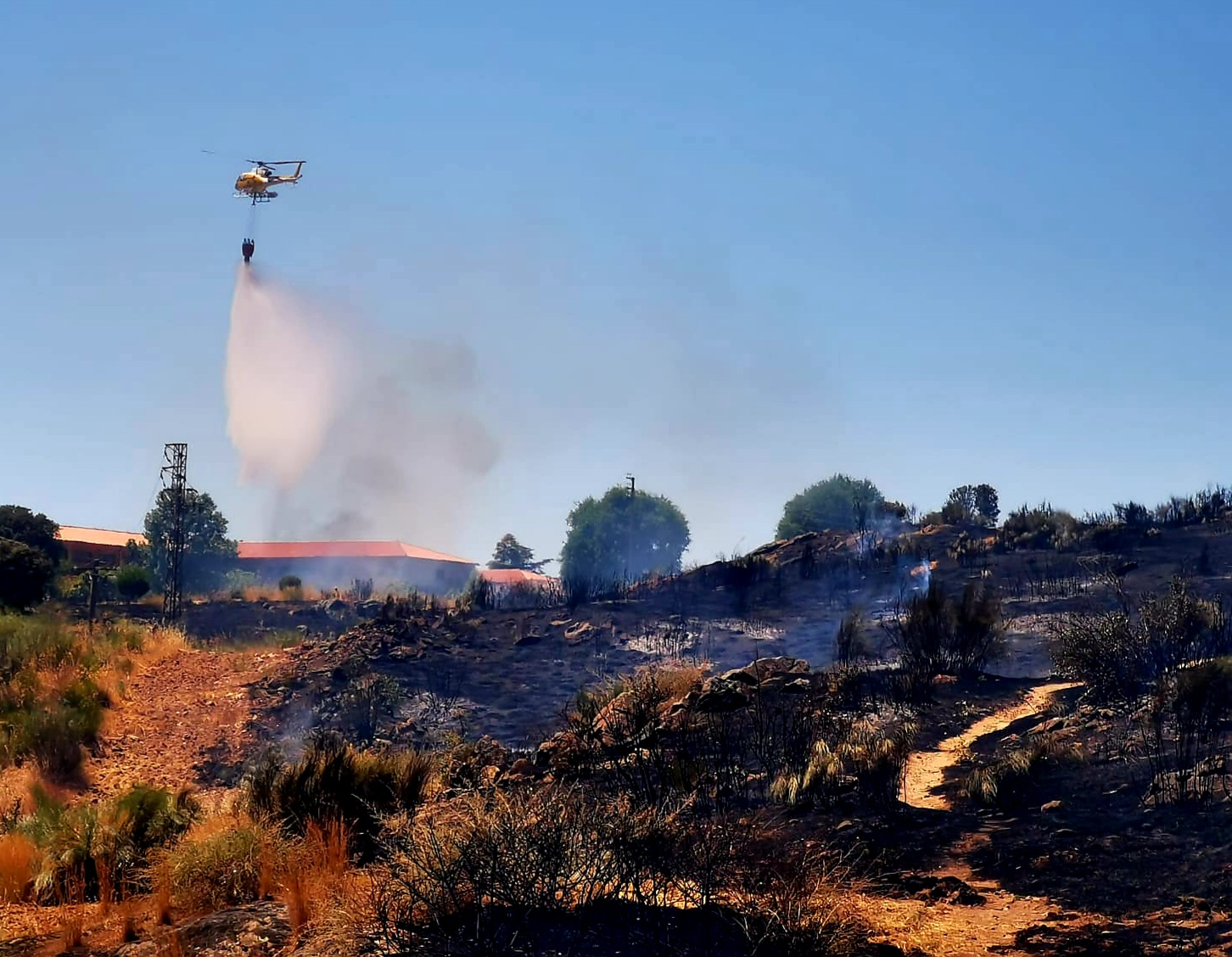 Evitan que el fuego llegue a las casas tras producirse un incendio de pastos en Plasencia