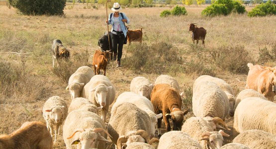 UPA: “La agricultura familiar es la que alimenta al mundo en situaciones críticas”