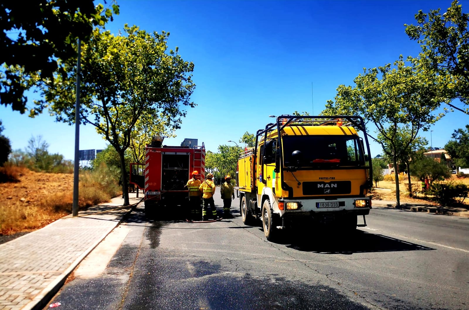 Evitan que el fuego llegue a las casas tras producirse un incendio de pastos en Plasencia