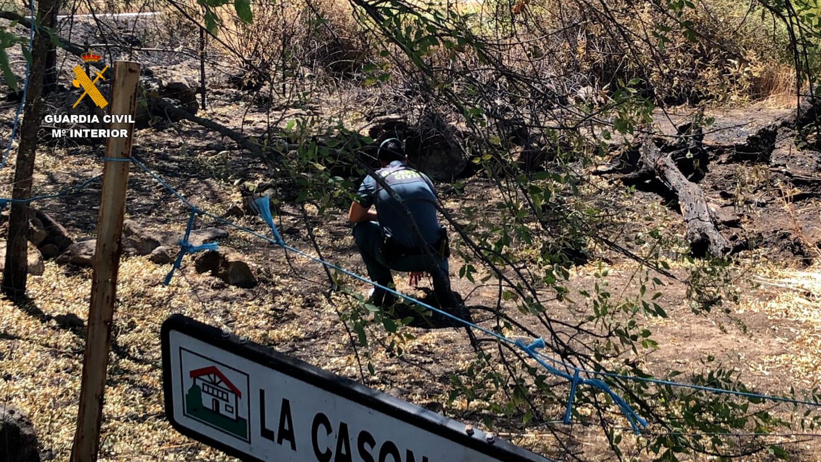 Detienen al supuesto autor de cuatro incendios forestales en Extremadura