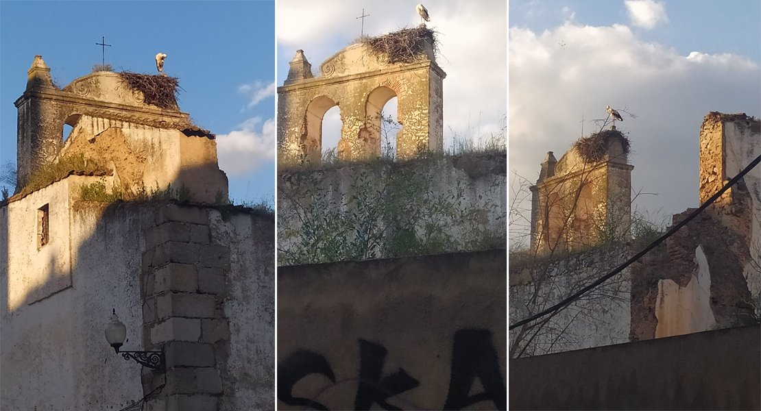 Un convento emeritense entra en la &#39;Lista Roja&#39;: &quot;La vegetación cubre el suelo y las paredes&quot;