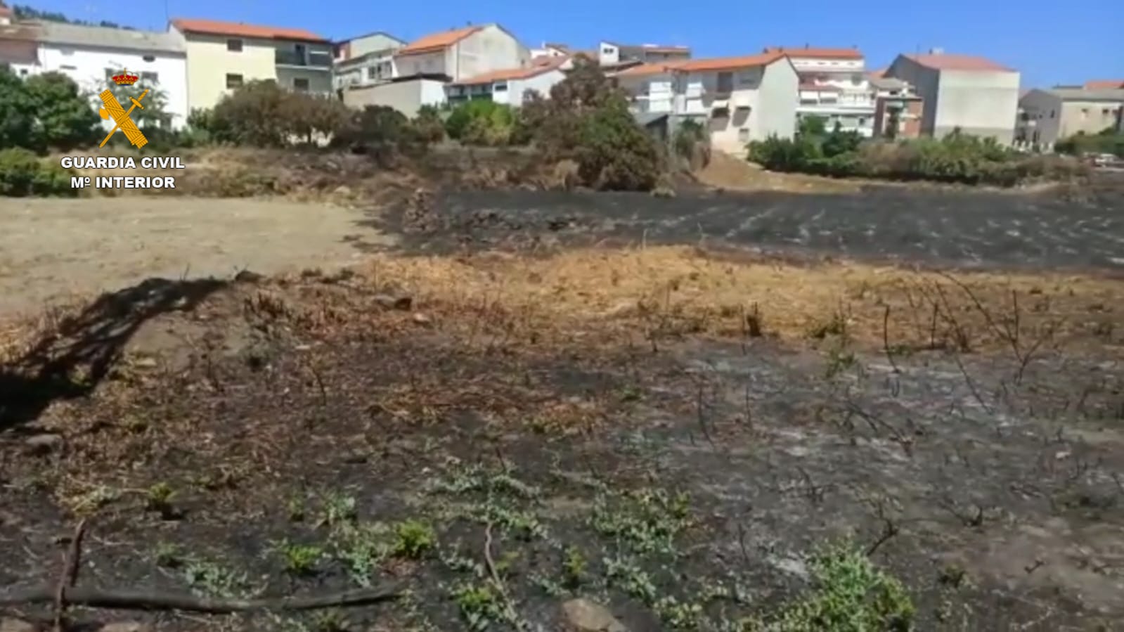 Detienen al supuesto autor de cuatro incendios forestales en Extremadura