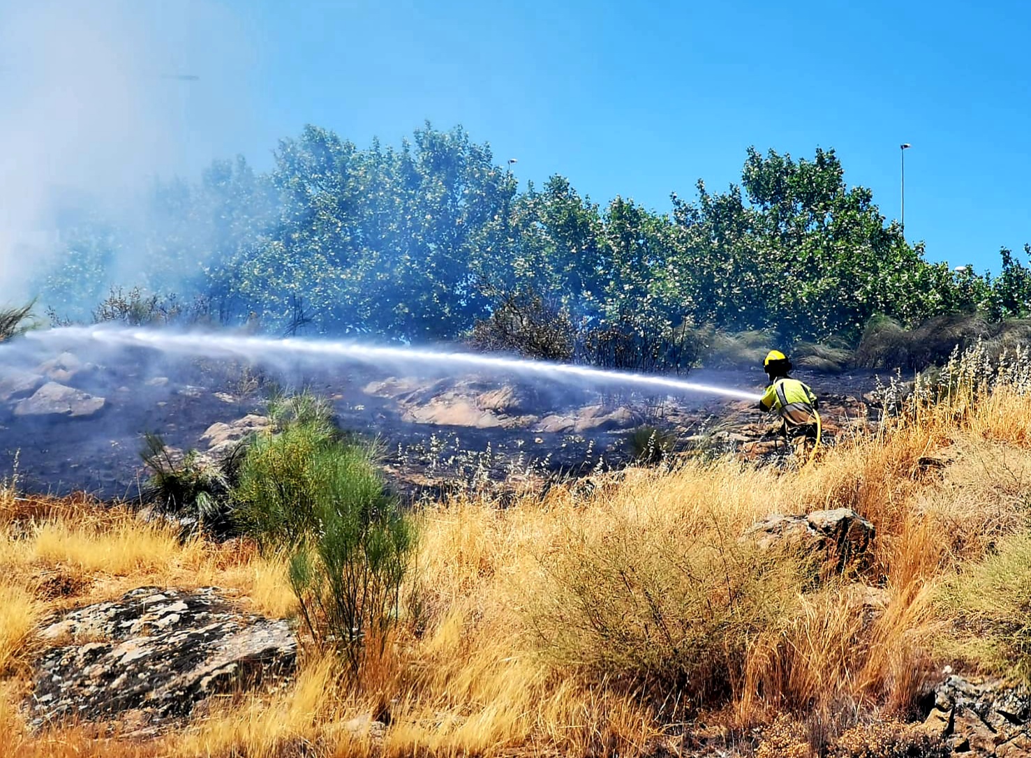 Evitan que el fuego llegue a las casas tras producirse un incendio de pastos en Plasencia