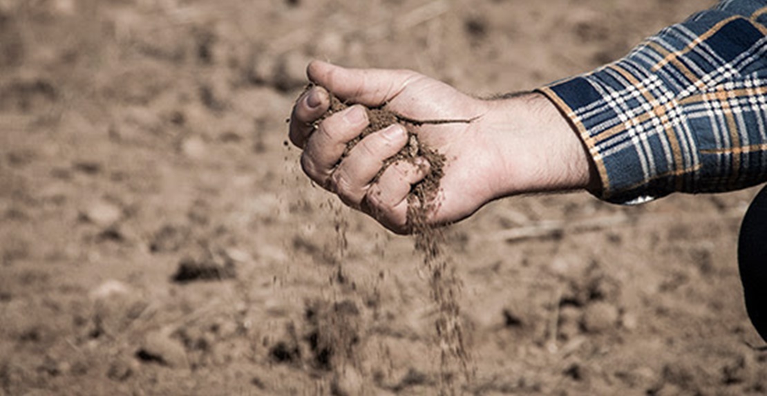 El primer semestre termina con la mayor siniestralidad registrada por el seguro agrario