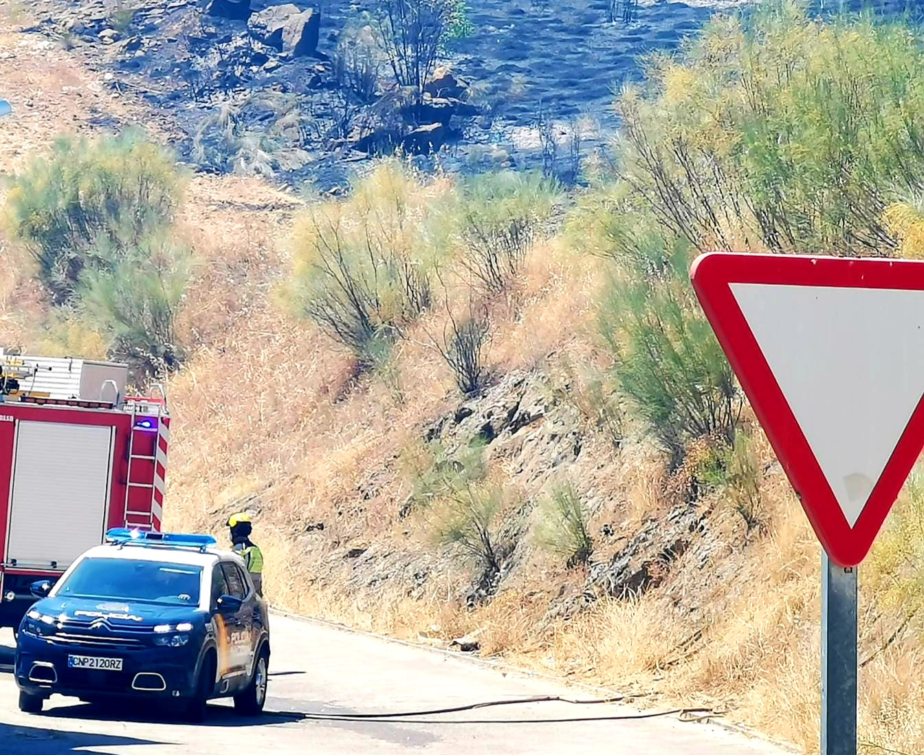 Evitan que el fuego llegue a las casas tras producirse un incendio de pastos en Plasencia