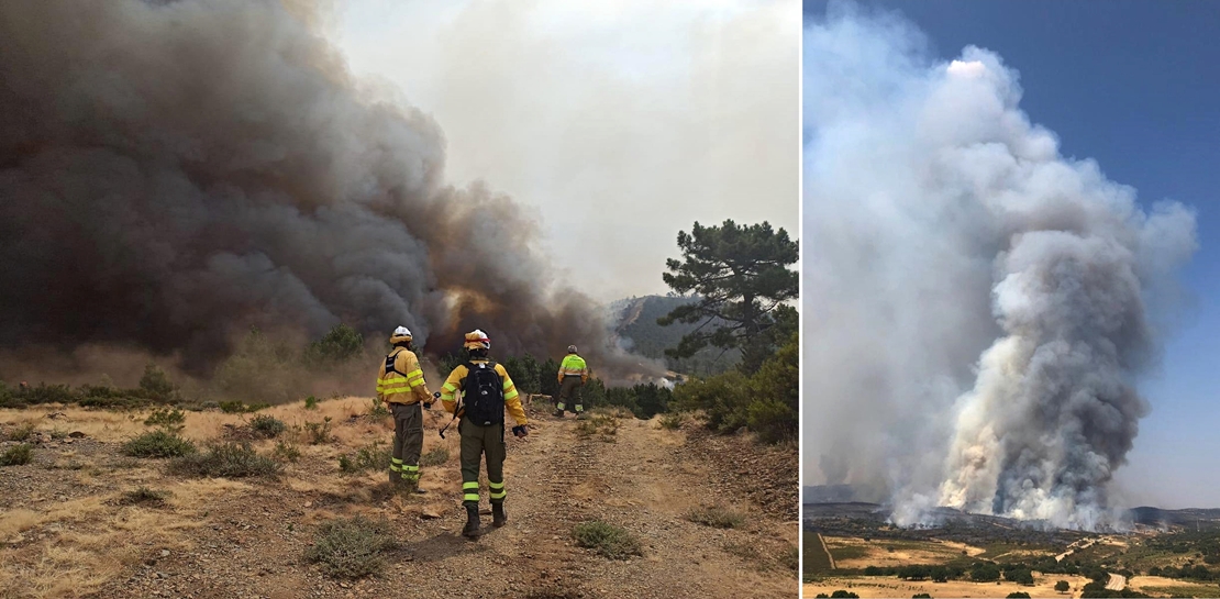 El fuego ha arrasado ya 1.000 hectáreas en el incendio forestal de Monfragüe