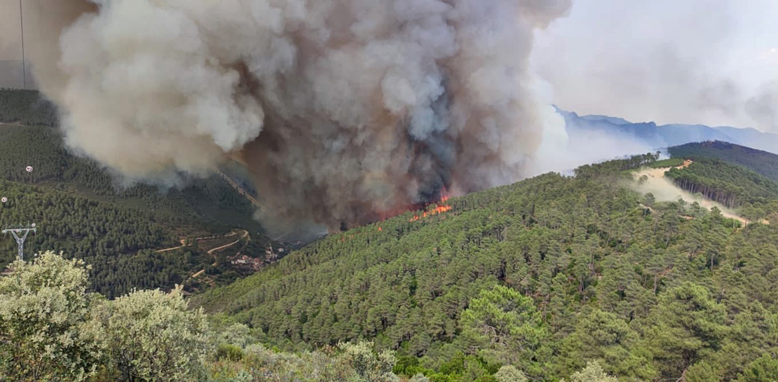 Paco Castañares: “El incendio está a punto de arrasar Riomalo de Arriba”