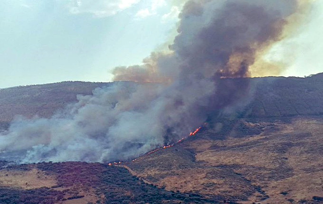 Incendio declarado a las puertas del Parque Nacional de Monfragüe