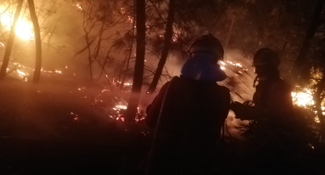 El incendio de Las Hurdes pone en peligro al buitre negro