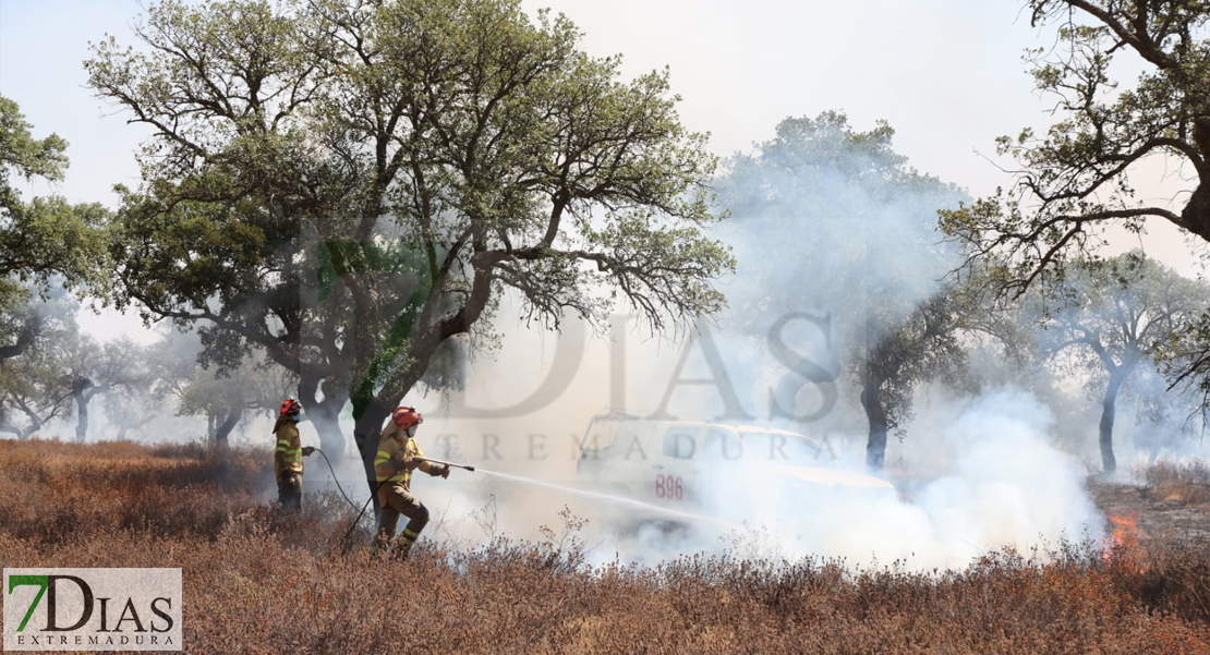 Un incendio sorprende a los vecinos del Coto del Manantío