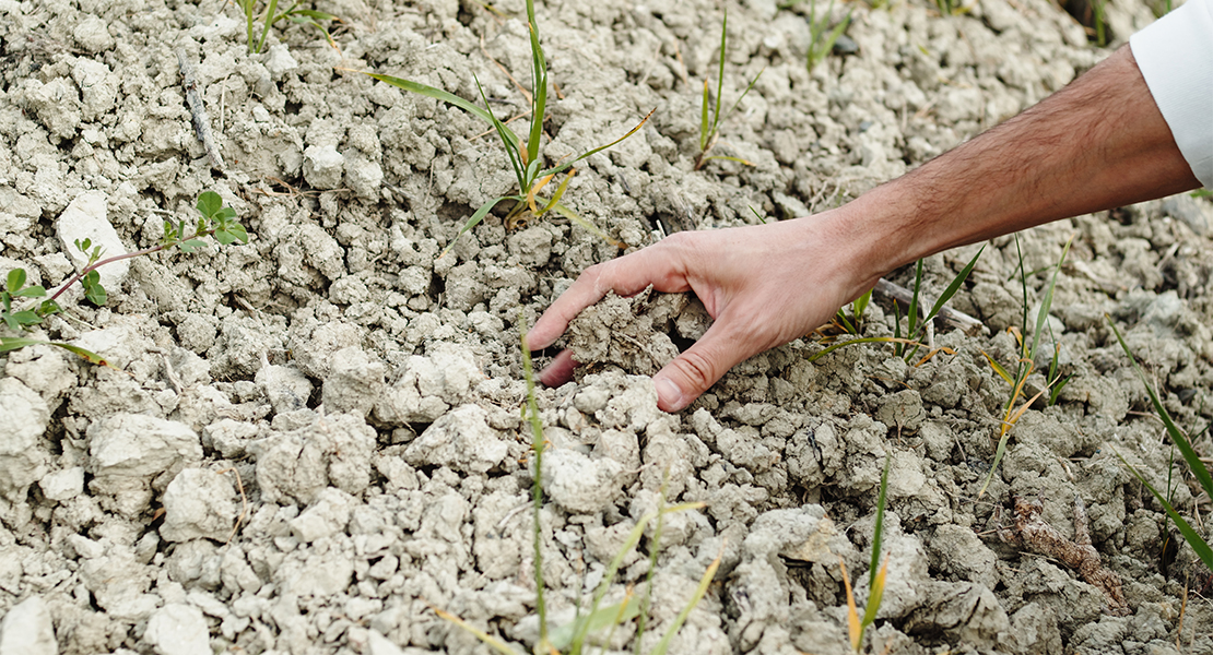 La Unión pregunta por qué en otras CCAA el Gobierno financia las pérdidas y en Extremadura no