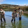 Rastrean in situ la evolución de los peces autóctonos en Extremadura
