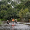 Rastrean in situ la evolución de los peces autóctonos en Extremadura