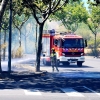 Evitan que el fuego llegue a las casas tras producirse un incendio de pastos en Plasencia