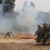Incendio forestal en San Isidro (Badajoz)