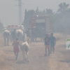 Incendio forestal en San Isidro (Badajoz)