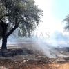 Un incendio sorprende a los vecinos de El Manantío (Badajoz)