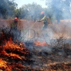 Un incendio sorprende a los vecinos de El Manantío (Badajoz)