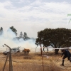 Incendio forestal en San Isidro (Badajoz)